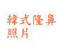 韓式隆鼻照片